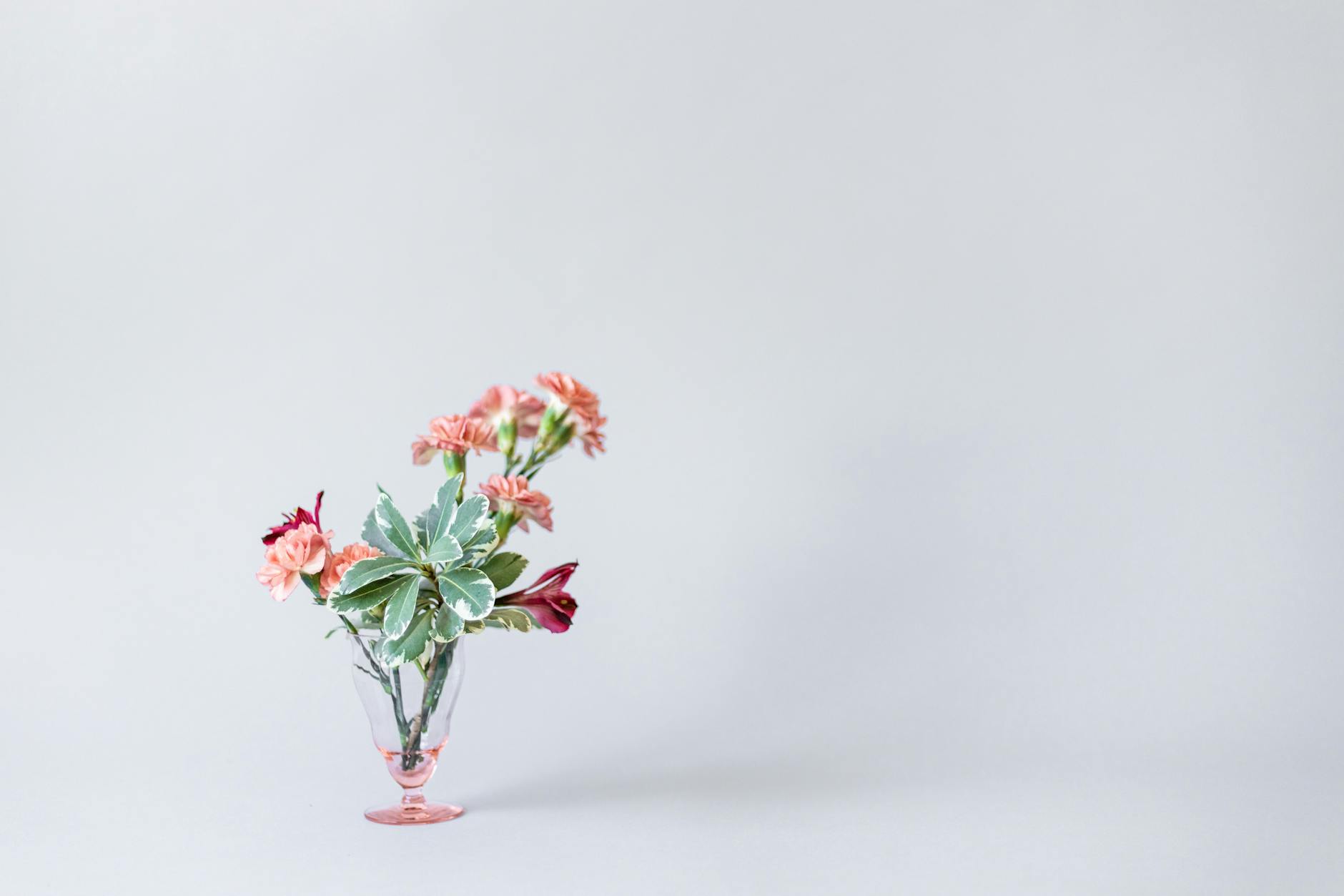 Flora Flicks flower subscription service