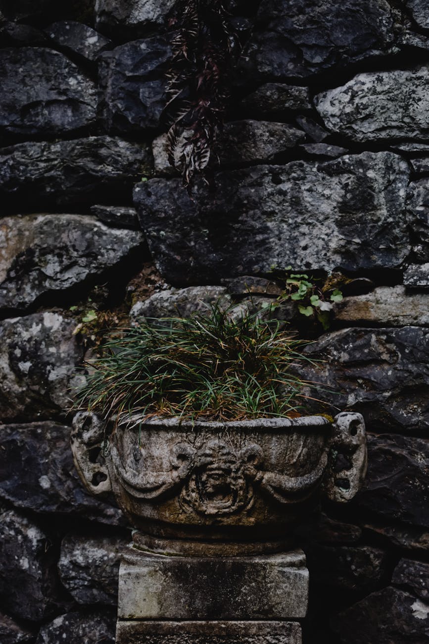 Wild Garden arrangement by Flora Flicks